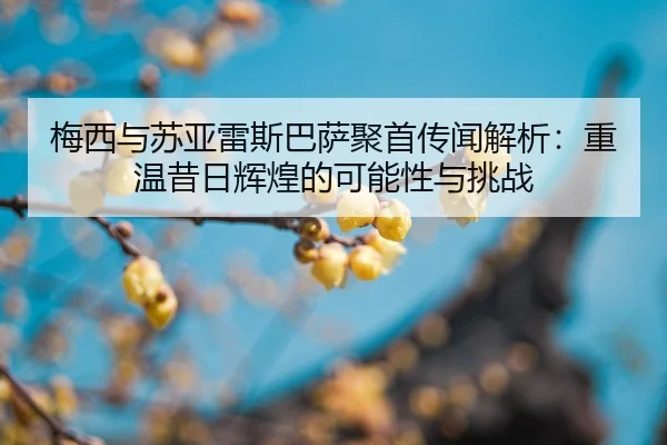 mei-xi-yu-su-ya-lei-si-ba-sa-ju-shou-chuan-wen-jie-xi-chong-wen-xi-ri-hui-huang-de-ke-neng-xing-yu-tiao-zhan-2-473.jpg